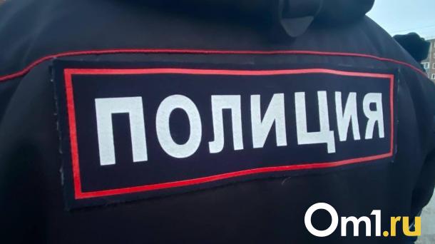 Омич на тёмной машине убил пешехода и скрылся