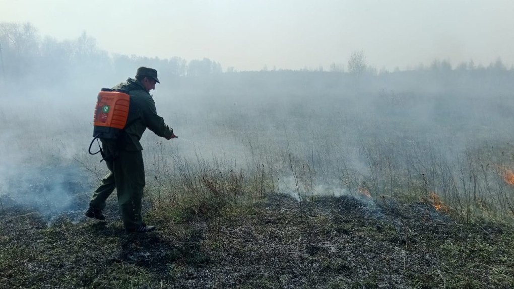 В Омской области вспыхнул масштабный природный пожар. Его пытаются потушить больше суток