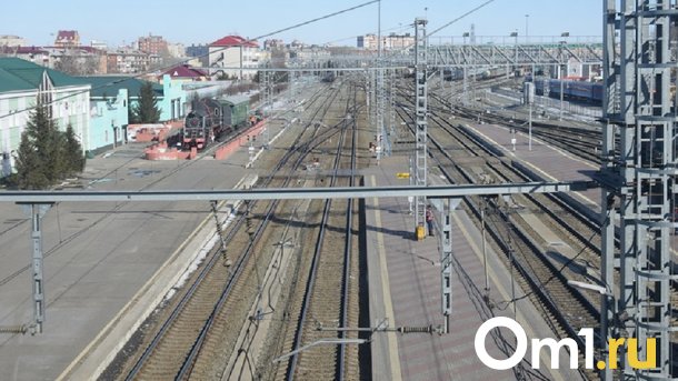 Два омских железнодорожника получили медали от Владимира Путина