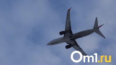 Губернатор Омской области Александр Бурков заявил о возобновлении авиасообщения с Китаем