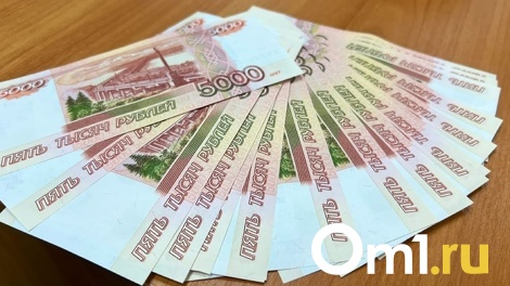 Омский чиновник оказал самому себе матпомощь на сумму 167 тысяч
