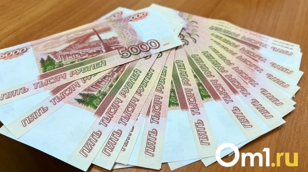 Омский чиновник оказал самому себе матпомощь на сумму 167 тысяч