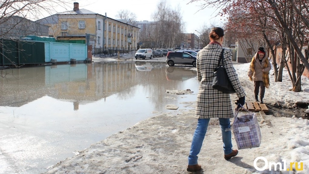 Теплее нормы: стала известна погода на весну 2022 года в Новосибирской области