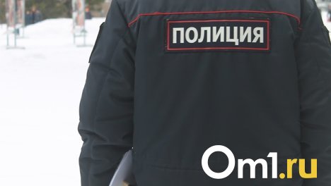 Граната в рюкзаке омского школьника оказалась муляжом