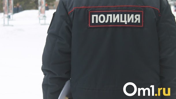 Граната в рюкзаке омского школьника оказалась муляжом