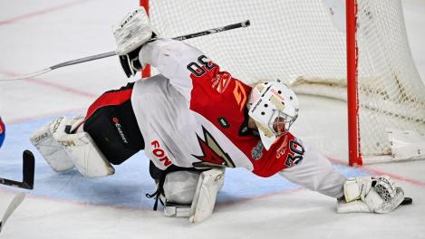 Очередная встреча «Авангарда» и «Лады» пройдёт 9 марта