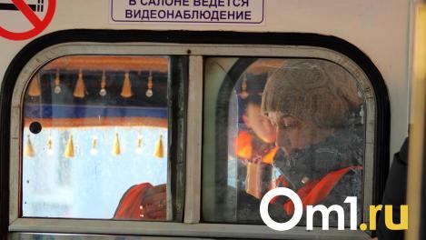 «Осатаневшие» пассажиры и «озверевшие» водители: что не так с общественным транспортом в Омске?