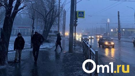 Омские синоптики предупредили ещё об одном похолодании