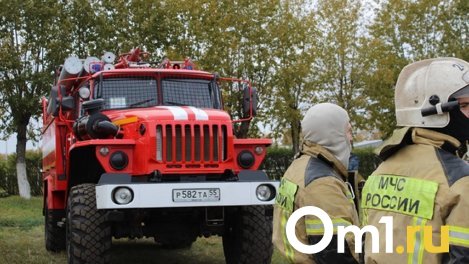 Под Омском у придорожного кафе сгорела фура