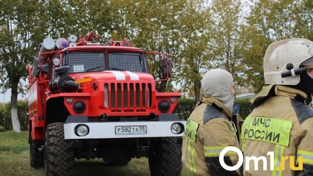 Под Омском у придорожного кафе сгорела фура