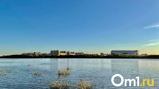 Омич на рыбалке сфотографировал хитинового «зверя»