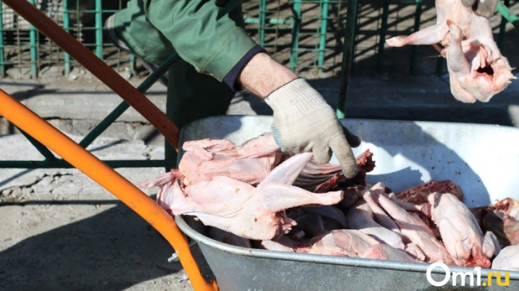 В курице омского производителя нашли опасные антибиотики