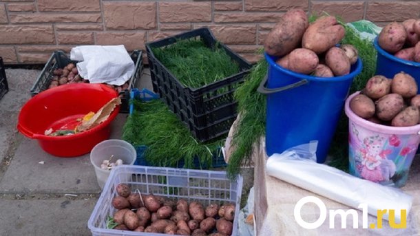 За 8 месяцев из Омской области вывезли 13 000 тонн картофеля