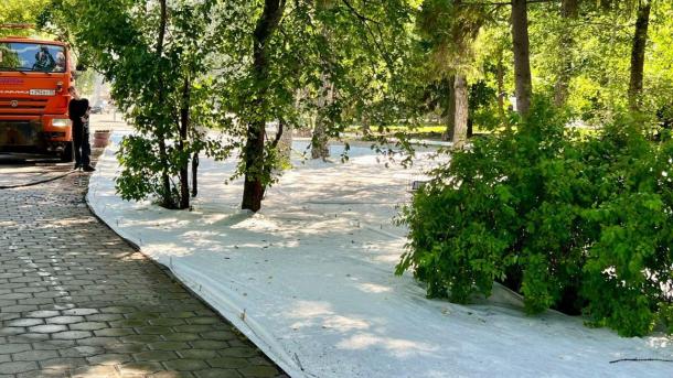 Сергей Шелест рассказал, что готовят к «Флоре»