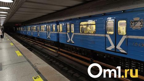 Новый тематический поезд начал курсировать в новосибирском метро