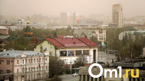 Омичи пожаловались на оседающую на одежду пыль на улице