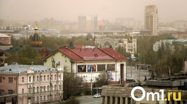 Омичи пожаловались на оседающую на одежду пыль на улице