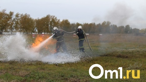 Этим летом десантники будут помогать бороться с лесными пожарами в Омской области