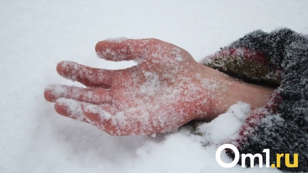 Соцсети: на остановке в Омске обнаружили труп