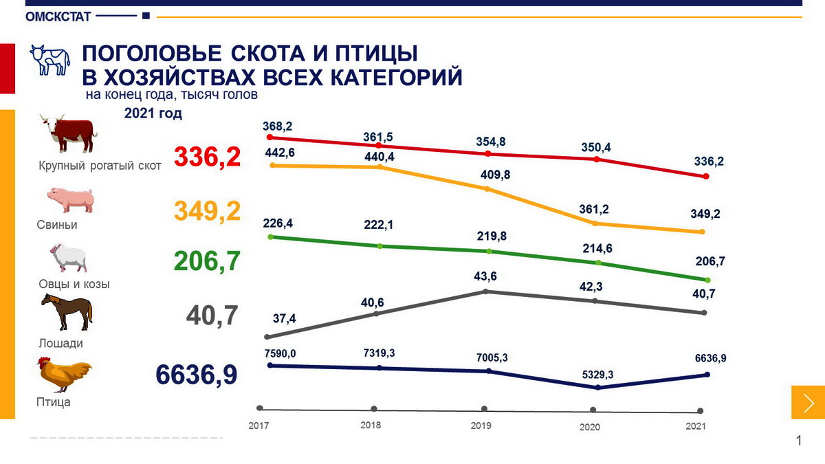 Поголовье скота. Численность Омска 2021. Поголовье скота в России 2021. Коровы Омская область. Поголовье скота в мире и отдельных регионах.