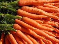 Российские ученые вырастили трансгенную морковь для борьбы с гриппом