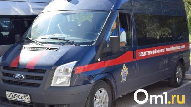 «Корчился от боли»: подросток выстрелил в лицо 11-летнему мальчику в Новосибирске