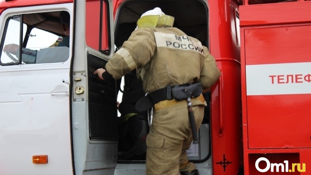 В Новосибирской области за три дня новогодних праздников зафиксировали 33 пожара