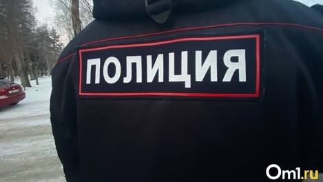 В Омске пропали мать и её двухлетний сын