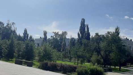 «Это северный город, в нём всё сурово». Омичка о том, почему в городе исчезают деревья