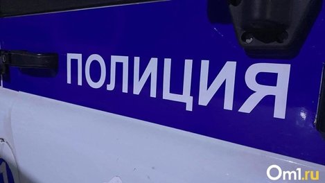 Напали на ребёнка. Омская полиция разыскивает мужчин, избивших мальчика
