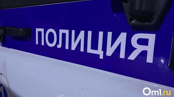 Напали на ребёнка. Омская полиция разыскивает мужчин, избивших мальчика