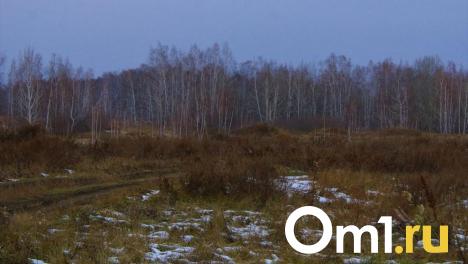 В Омске весенние лесные пожары могут начаться раньше срока