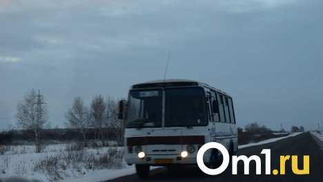 В ноябре появится автобусный рейс из Омска в Нововаршавку