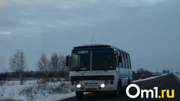 В ноябре появится автобусный рейс из Омска в Нововаршавку