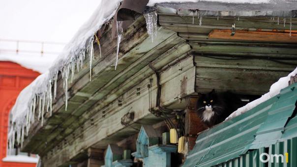 Февральская капель: в Омск пришла неожиданная оттепель