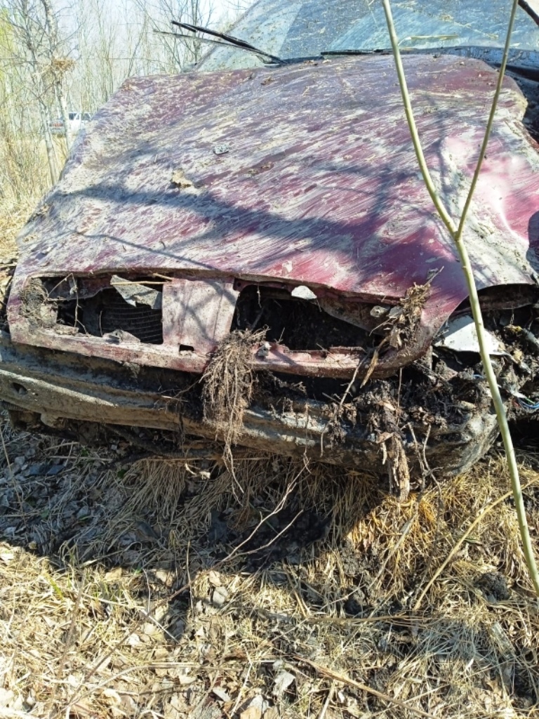 Изображение фоторепортажа