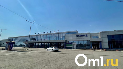 Самолёт из Омска в Москву задержали из-за пореза шины