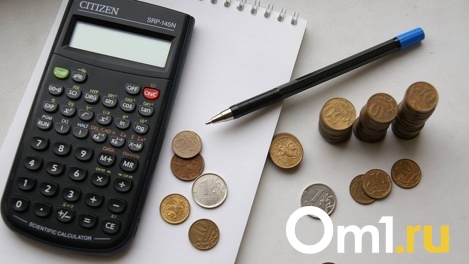 Могут купить просторную квартиру и оплатить отпуск. Лишь 9 % омских семей признали средним классом