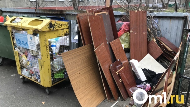 Режим повышенной готовности из-за вывоза мусора продлили в Новосибирске