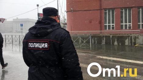 В Новосибирске интернет-сайты наказали рублём за незаконную продажу SIM-карт