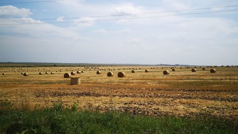 Омские поля оказались под угрозой из-за опасного метеоявления
