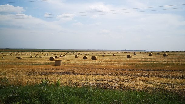 Омские поля оказались под угрозой из-за опасного метеоявления