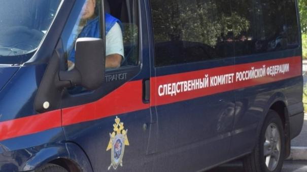 Следователи предъявили обвинения двум подросткам, пытавшимся убить сверстника под Новосибирском