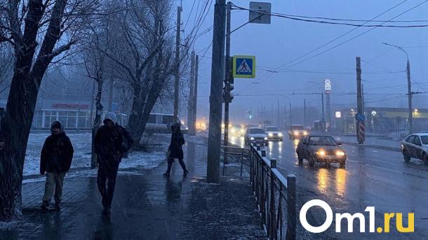 На Омскую область обрушится снегопад, а потом придёт мощное потепление