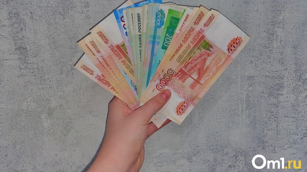 Выплаты на сумму более 15 000 рублей могут получить родители в Новосибирской области