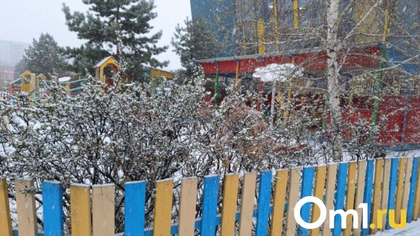После снегопада в середине апреля в Омск придёт резкое потепление