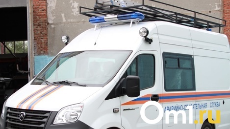 Бригада спасателей из Новосибирской области помогла вычистить Мариуполь от крыс и вшей