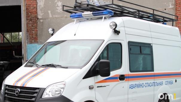 Бригада спасателей из Новосибирской области помогла вычистить Мариуполь от крыс и вшей