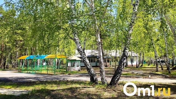 В загородных лагерях подготовили 4 755 мест для маленьких омичей