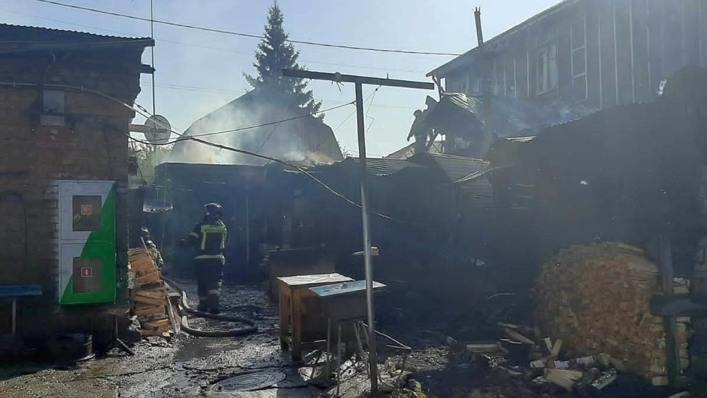 Девочку и двух котов спасли из горящего дома в Новосибирске